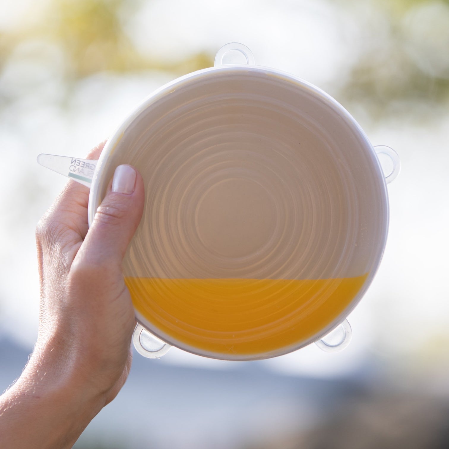 Green Island Silicone Stretch Lids - Set of 6 - Life Before Plastik